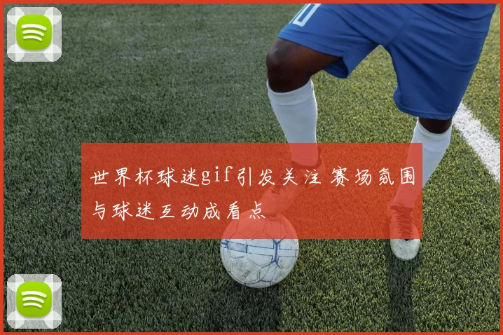世界杯球迷gif引发关注 赛场氛围与球迷互动成看点