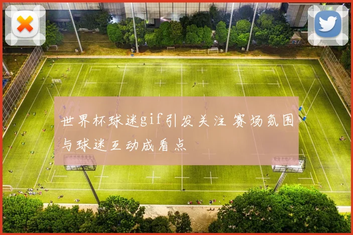 世界杯球迷gif引发关注 赛场氛围与球迷互动成看点