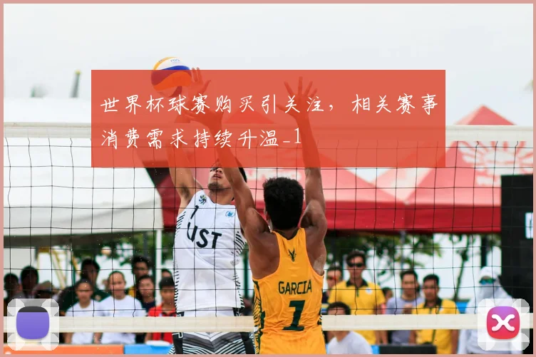 世界杯球赛购买引关注,相关赛事消费需求持续升温_1