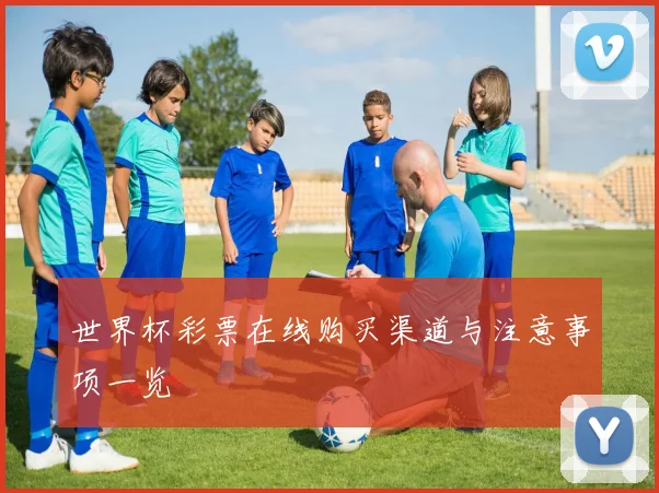 世界杯彩票在线购买渠道与注意事项一览