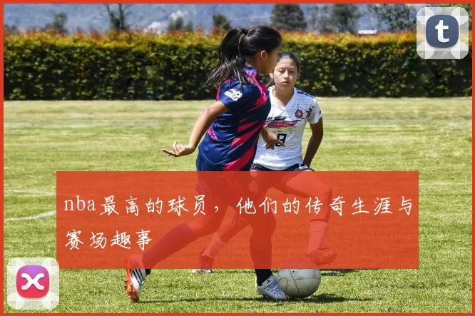 nba最高的球员，他们的传奇生涯与赛场趣事